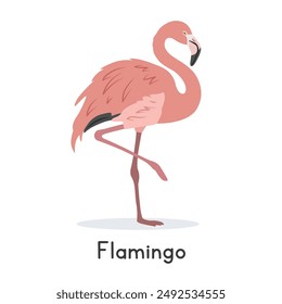 Flamingo standing on one leg vector illustration, cartoon clipart character, animal in flat style. Wild animals, avian, birds concept. Beautiful pink American flamingo vector design isolated