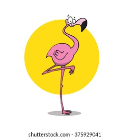 Flamingo standing on one leg