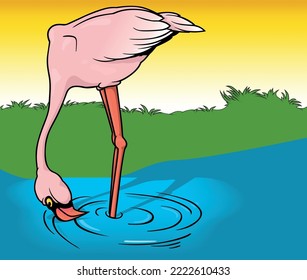 Flamingo Standing in Water with its Head Down - Colored Cartoon Illustration with Background, Vector