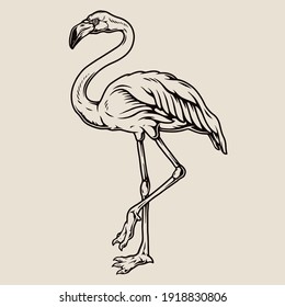 Flamingo stands on one leg in vintage monochrome style isolated vector illustration