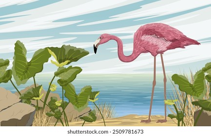 Flamingo fica no litoral com plantas tropicais. Aves da África e da América do Sul. Anser caerulescens. Paisagem vetorial realista