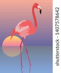 Flamingo stands in the water at sunset