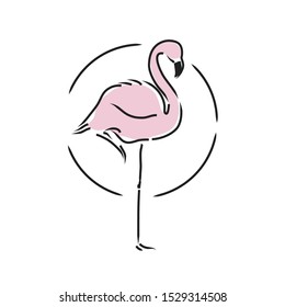 Flamingo staying on one leg vector illustration 