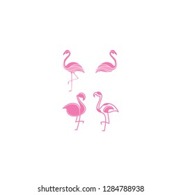 flamingo stock logo vector template