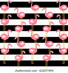 Flamingo and strip background