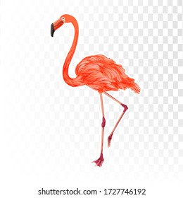 flamingo summer element for artwork sale promotion shopping,summer promo,holidays on the beach,web banner template background vector 3D style