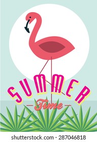 flamingo / summertime vector/illustration