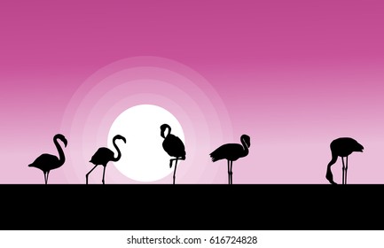 Flamingo at sunset scene silhouettes
