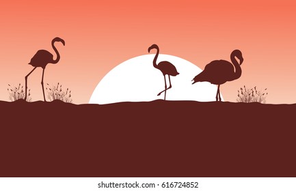 Flamingo at sunset scene silhouettes