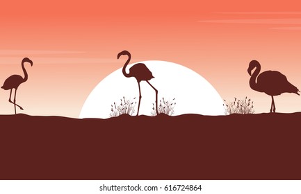 Flamingo at sunset scene silhouettes