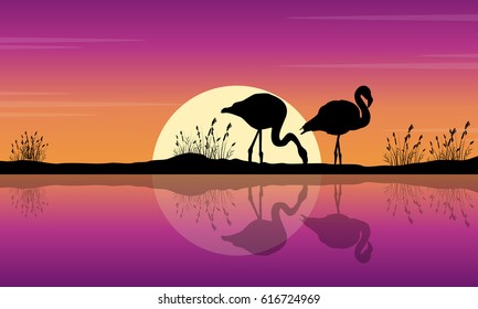 Flamingo at sunset scene silhouettes