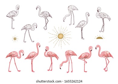 Flamingo at sunset vector hand drawn  illustrations set