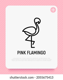 Flamingo Dünne Linie Symbol. Moderne Vektorgrafik für Logo.