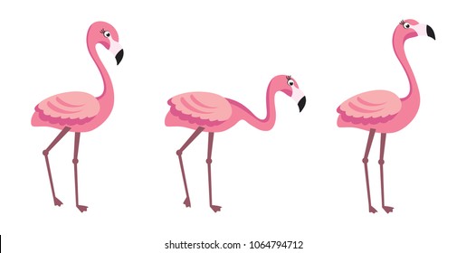 Flamingo - trendy vector illustration template in flat style with flamingos