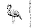 flamingo drawings