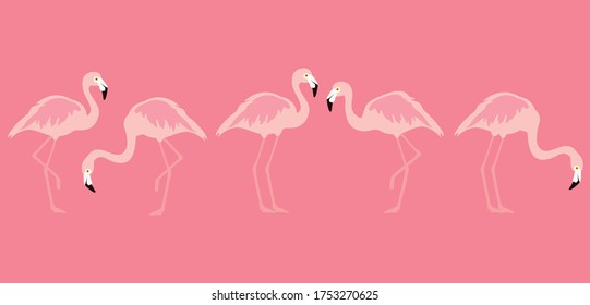 Pájaro tropical flamenco. Un pájaro exótico. Vector