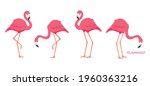 Flamingo tropical bird. Pink flamingo. Vector
