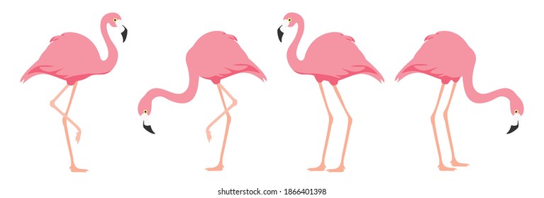 Flamingo tropischen Vogel. Rosa Flamingo. Vektorgrafik