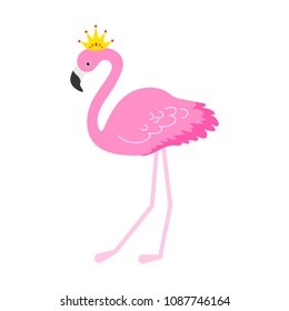 Flamingo or tropical birds illustration for party card. Summer exotic background. Vintage cute holiday set.