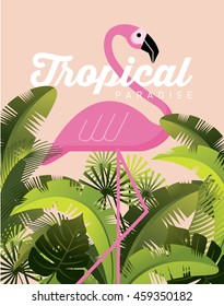 flamingo/ tropical paradise template vector/illustration