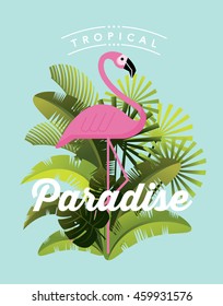 flamingo/ tropical paradise vector/illustration