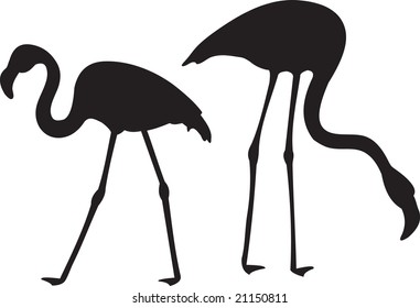 flamingo vector