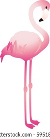 Flamingo vector
