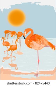 Flamingo vector