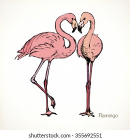 Flamingo, vector animal