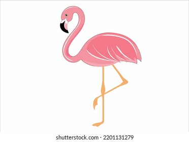 flamingo vector art design hand drawn