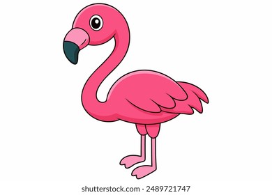 A Flamingo vector art illustration
