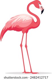 Flamingo vector. Birds of Amazonian forests in flat design illustration. Fauna of South America. Colorful flamingo for icons, posters, childrens books illustrating. Isolated on white.