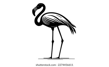 Flamingo vector black line illustration isolated white. Sketch art