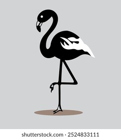 Flamingo, Vektorgrafik mit schwarzer Linie, isoliert weiß.