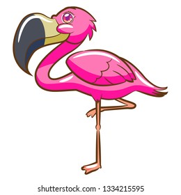 Flamingo vector clipart