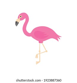 Flamingo vector cute illustration. Pink flamingo bird standing. Hand drawn flamingo icon, sticker. Isolated.