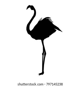 flamingo vector drawing