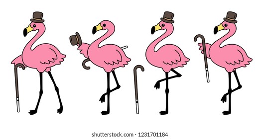 flamingo vector flamingos hat icon logo cartoon character collection illustration Cute animal exotic fauna nature wild