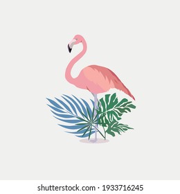  Flamingo vector flat background design for fabric and decor. Pink flamingo on white background. Simple design.