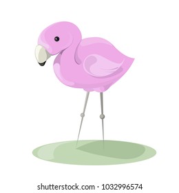 
flamingo ,vector flat ,cartoon character illustration icon design. Isolated on white background,bird