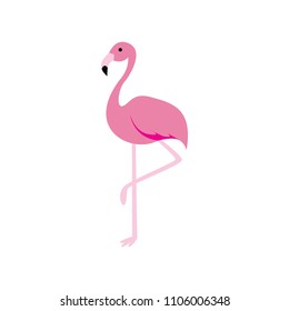 flamingo vector graphic element design