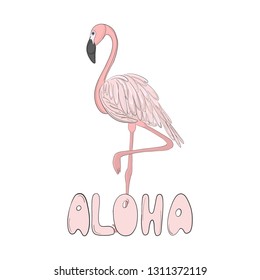 Flamingo vector hand drawn line art illustration. Pink bird with typography. Aloha Miami exotic art. Beautiful summer paradise background