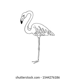 Flamingo. Vector hand drawn sketch illustration on white background.
