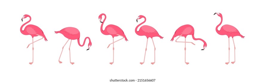 Flamingo vector icon, cartoon pink tropical bird, summer animal set, cute zoo character isolated on white background. Exotic fauna illustration