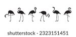 Flamingo vector icon, tropical bird, summer animal set, zoo character. Black silhouettes isolated on white background. Exotic fauna illustration