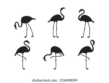 Flamingo vector icon, tropical bird, summer animal set, cute zoo character, black silhouettes isolated on white background. Exotic fauna illustration