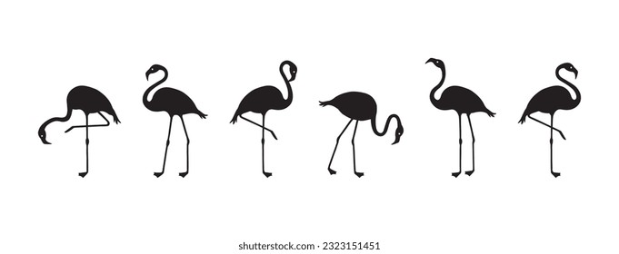 Icono vectorial de flamenco, ave tropical, conjunto de animales de verano, carácter zoológico. Silhouettes negras aisladas en fondo blanco. Ilustración de fauna exótica