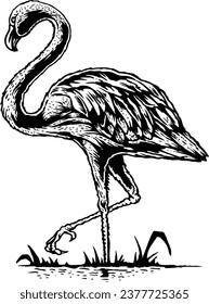Flamingo vector illustraion isolated on a white background