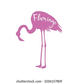 Flamingo. Vector illustration