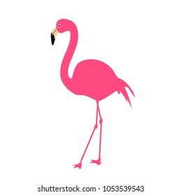Flamingo Vector Illustration 